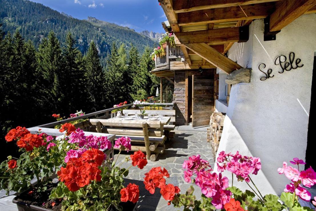 שאמוני Hotel Les Chalets De Philippe Avec Jacuzzis Privatifs מראה חיצוני תמונה